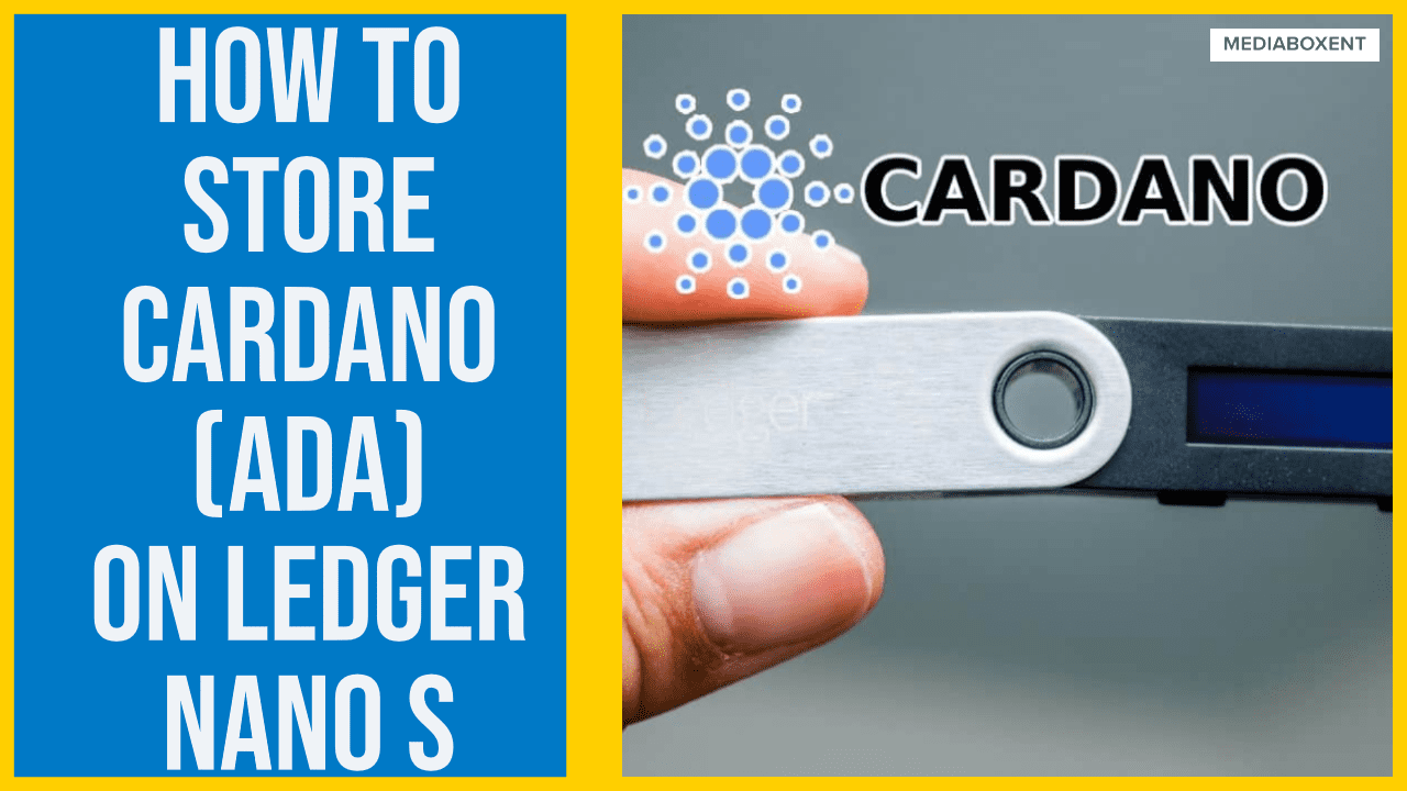 does ledger live support cardano