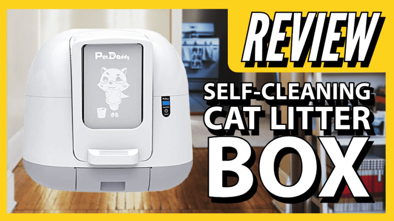 Automatic Litter Box | Review 2021 | Make Your Cleaning Easier