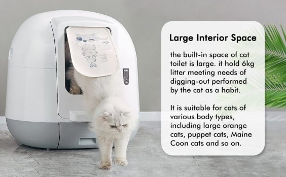 Pet Daddy Self-Cleaning Cat Litter Box large