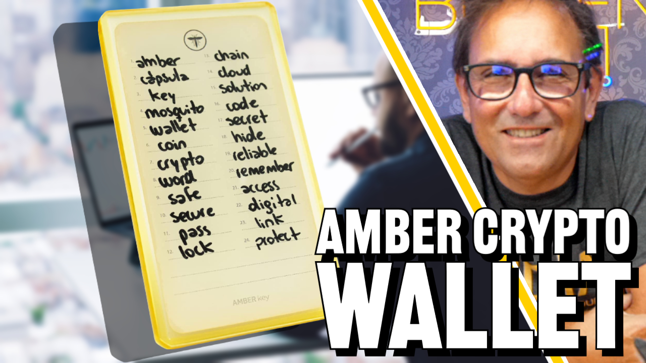 Undetectable Cryptocurrency Amber Composite Wallet, 24 seed phrase storage, Crypto Cold Storage Seed Backup 